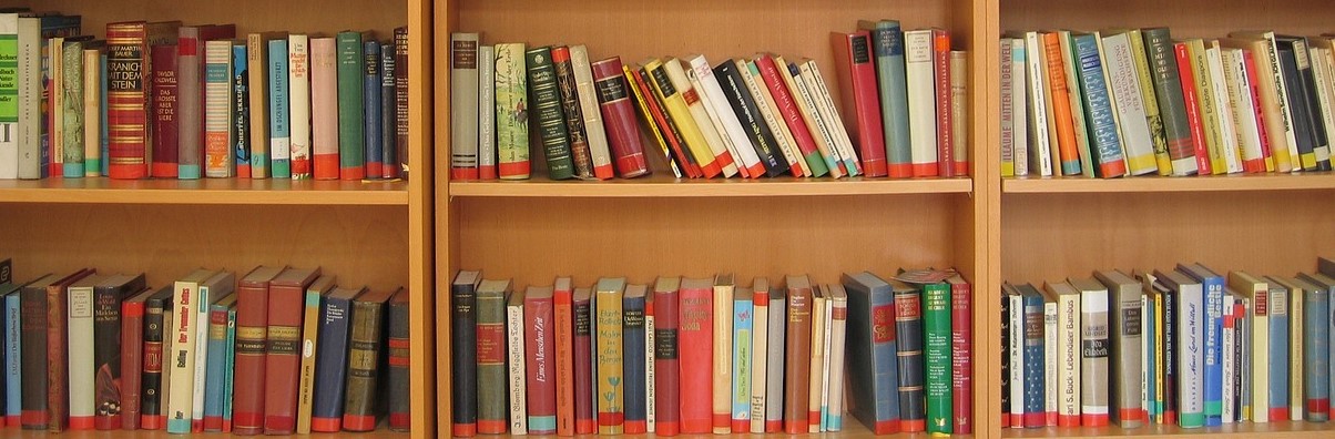 Bücherregal