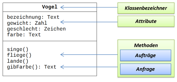 Klassendiagramm Vogel