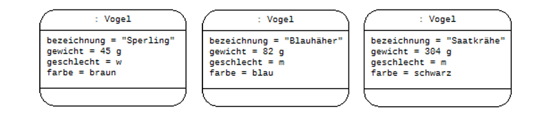 Objektdiagramm Vögel