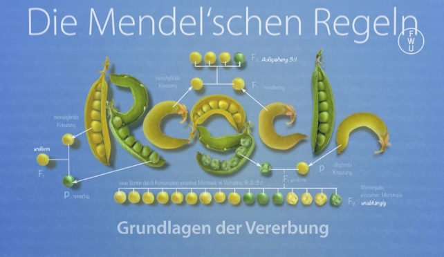 Mendel
