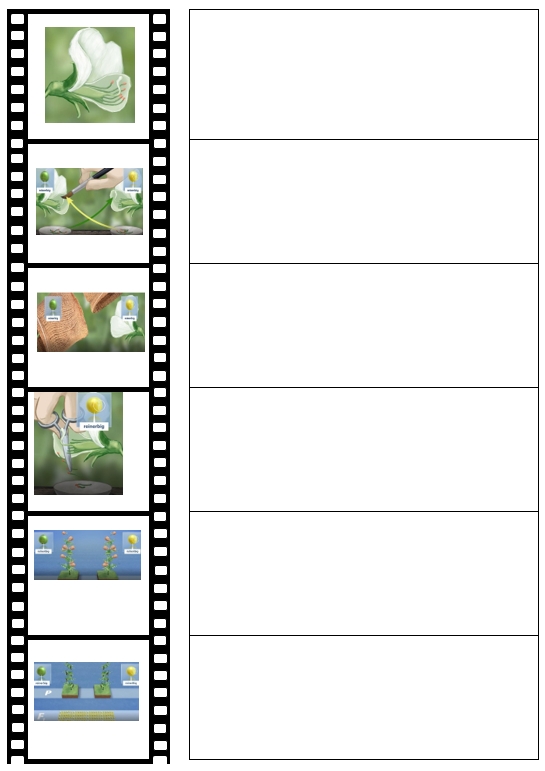 Filmstills