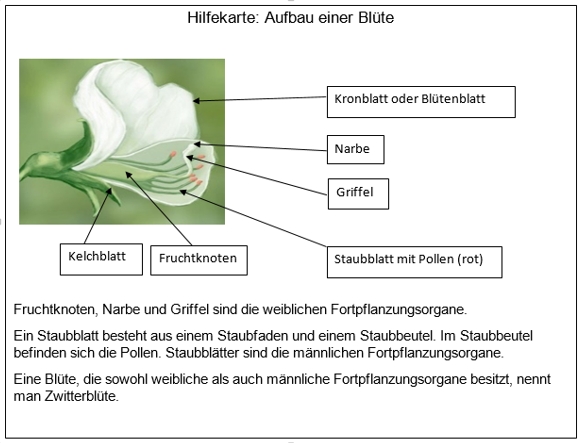 Hilfekarte 1