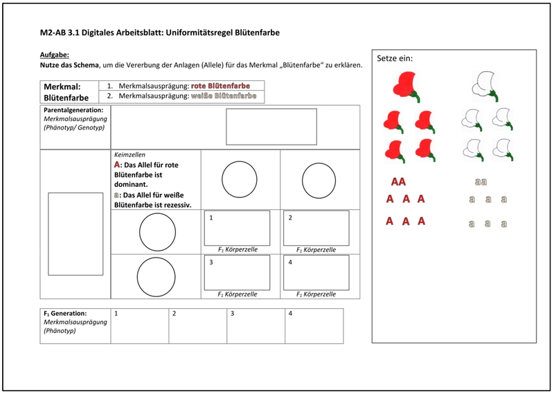 AB3.1 Blütenfarbe