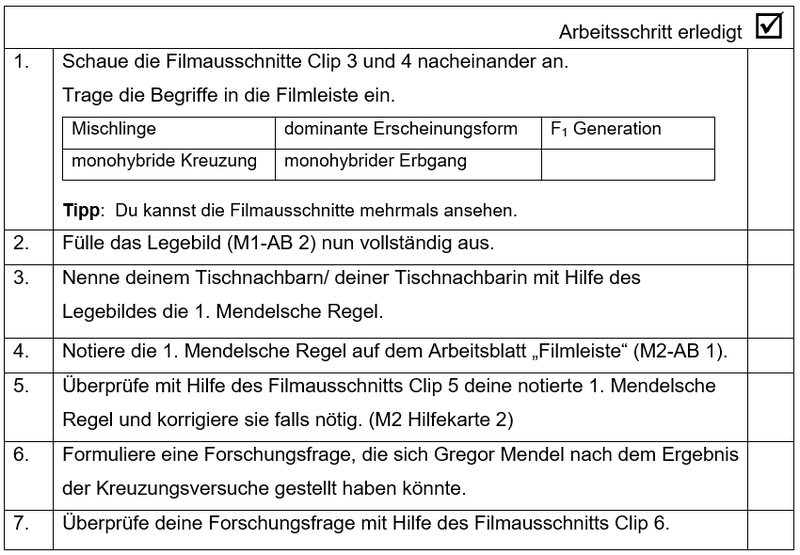 Version B