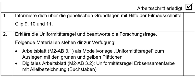 Version B