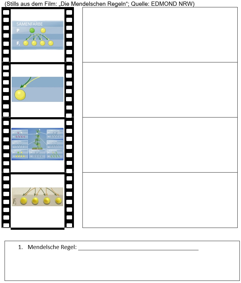 Filmleiste