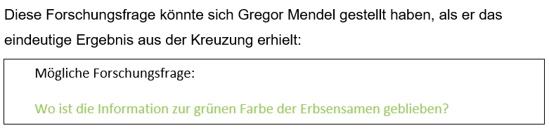 Filmleiste2
