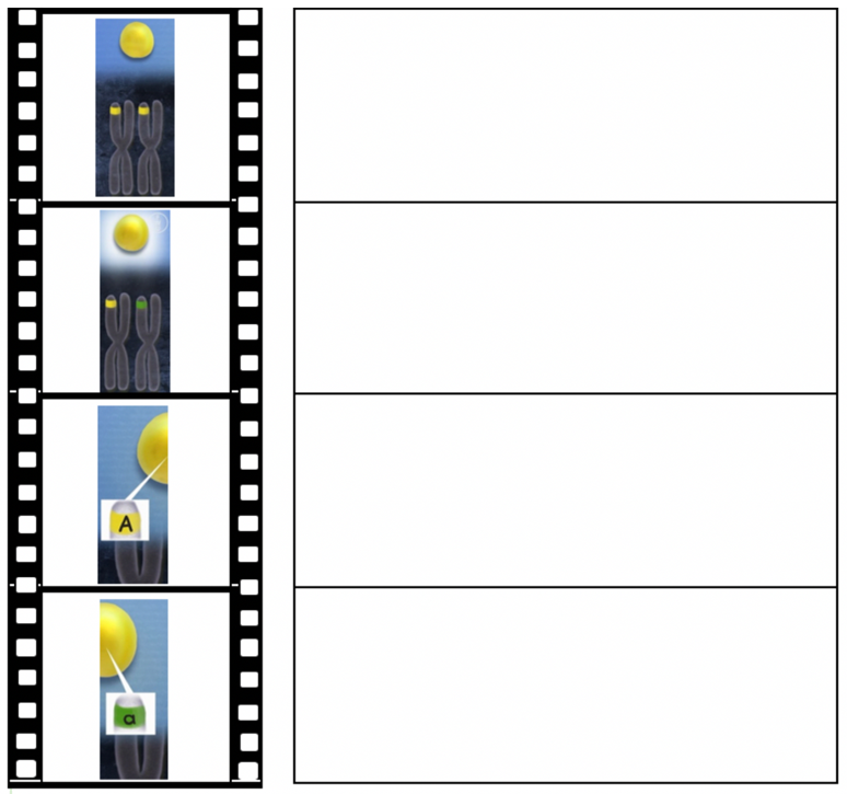Filmleiste