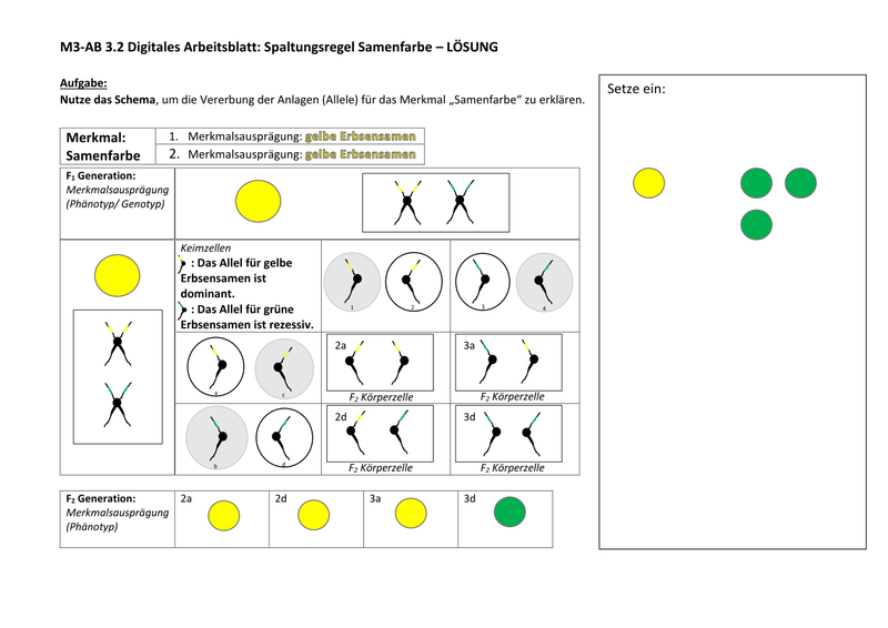 AB 3.2 Lösung