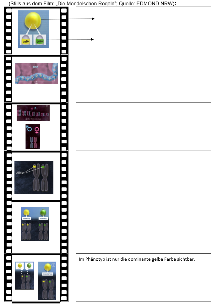 Filmclip