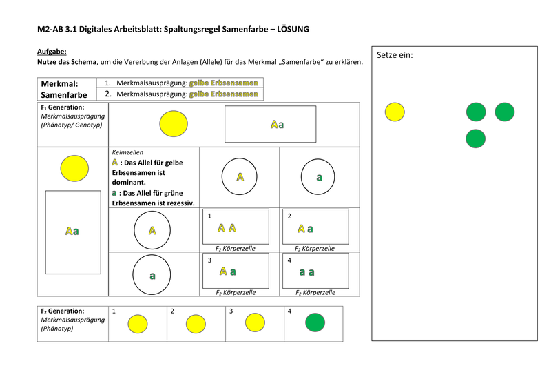 Ab 3.1 Lösung