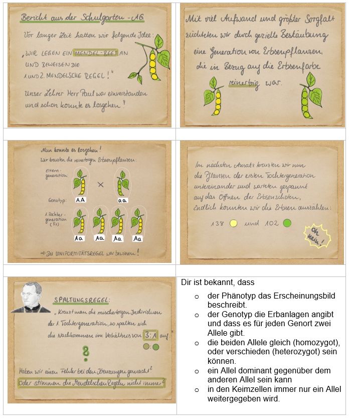 Arbeitsmaterial 1
