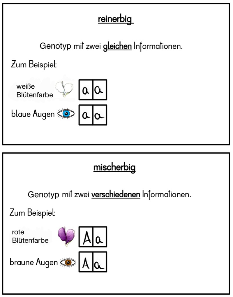 Mystery-Karten
