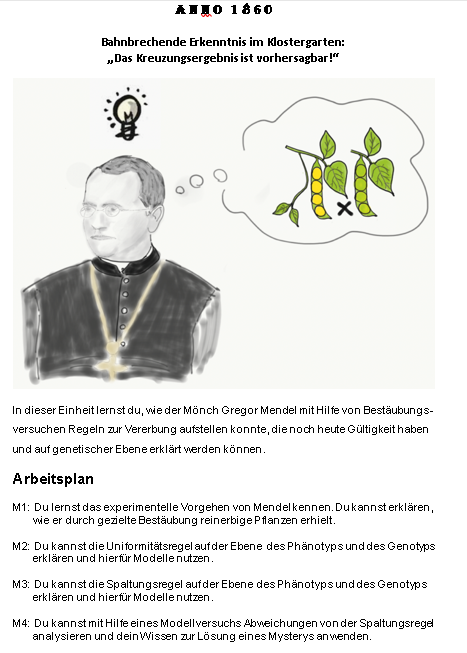 Arbeitsplan 1