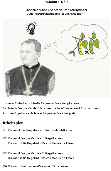 Arbeitsplan 2