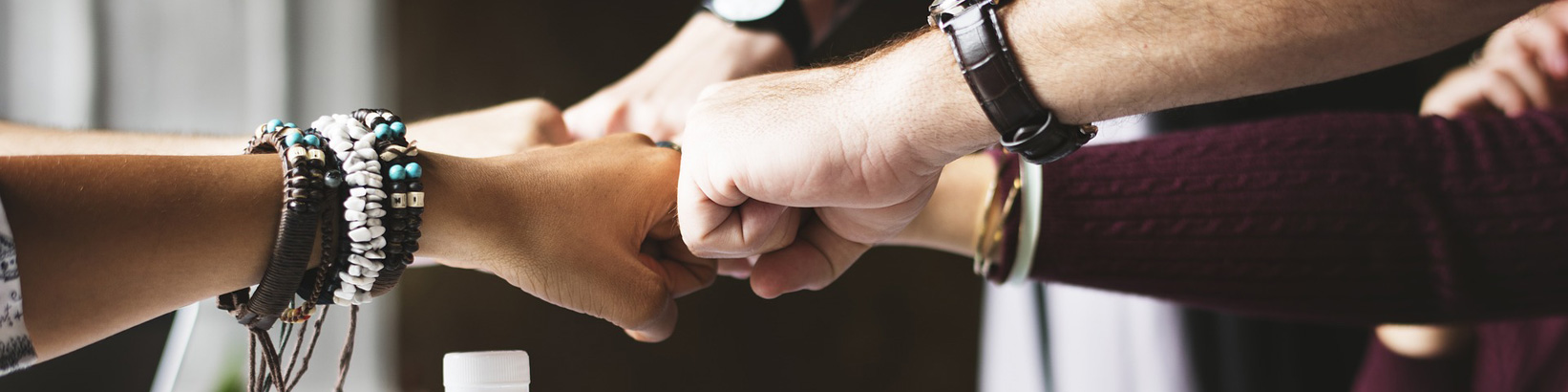 Bild Projekte und Kooperationen