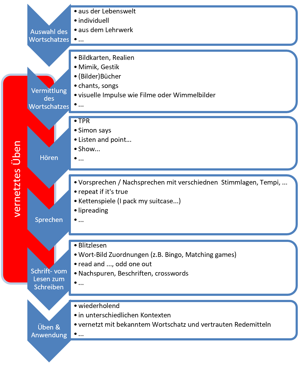 Die sechs Schritte der Wortschatzarbeit: Auswahl, Vermittlung, H&ouml;ren, Sprechen, Schreiben, Anwenden