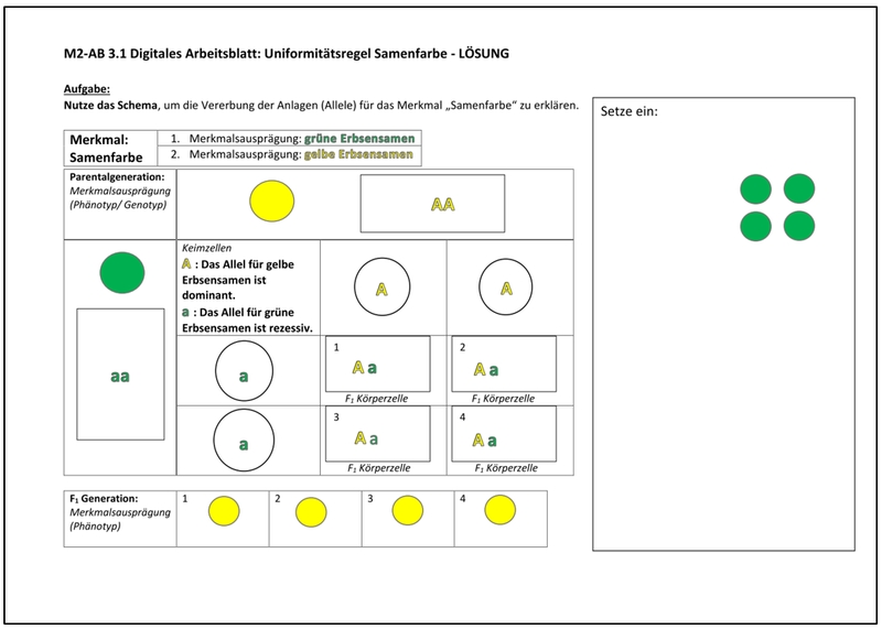 AB3.1 L&ouml;sung