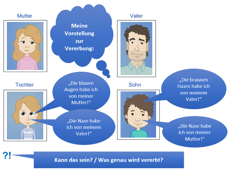 Vererbung von Anlagen
