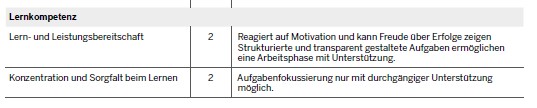 Einschätzung Lehrkraft
