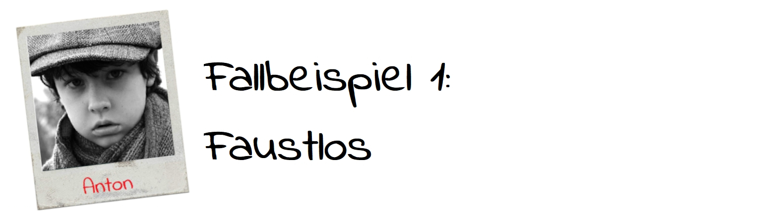 Fallbeispiel Anton Selfassessments
